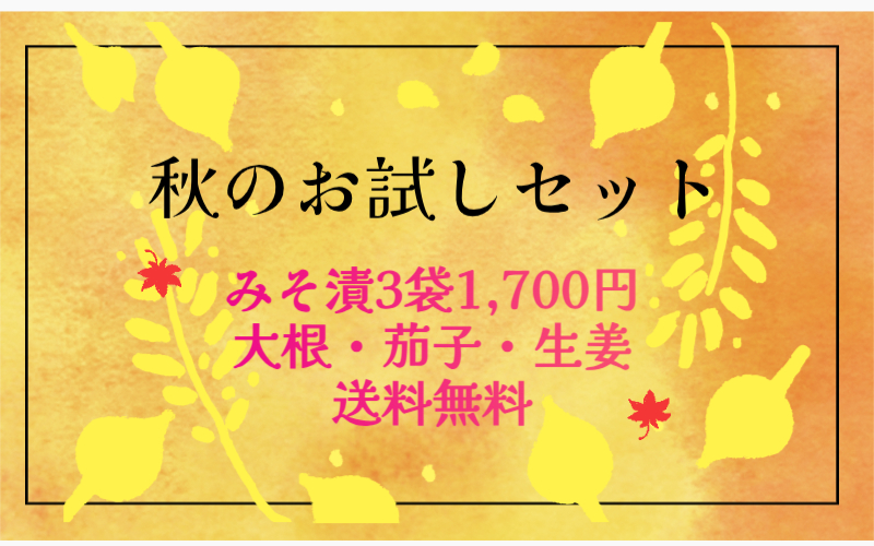 朝日新聞掲載商品